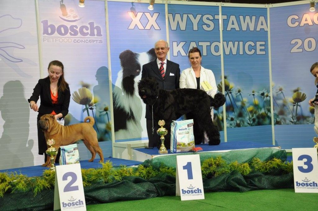 Wystawa Międzynarodowa Katowice 2015