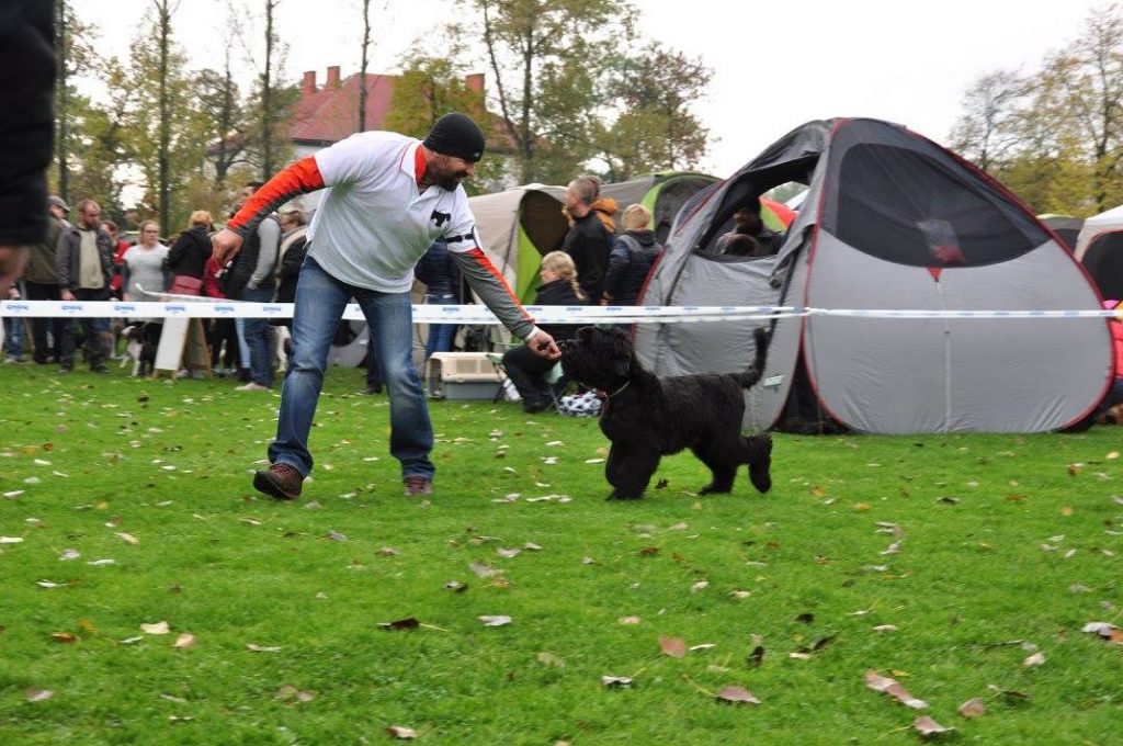 Wystawa krajowa Jasło (O/Krosno) 2015