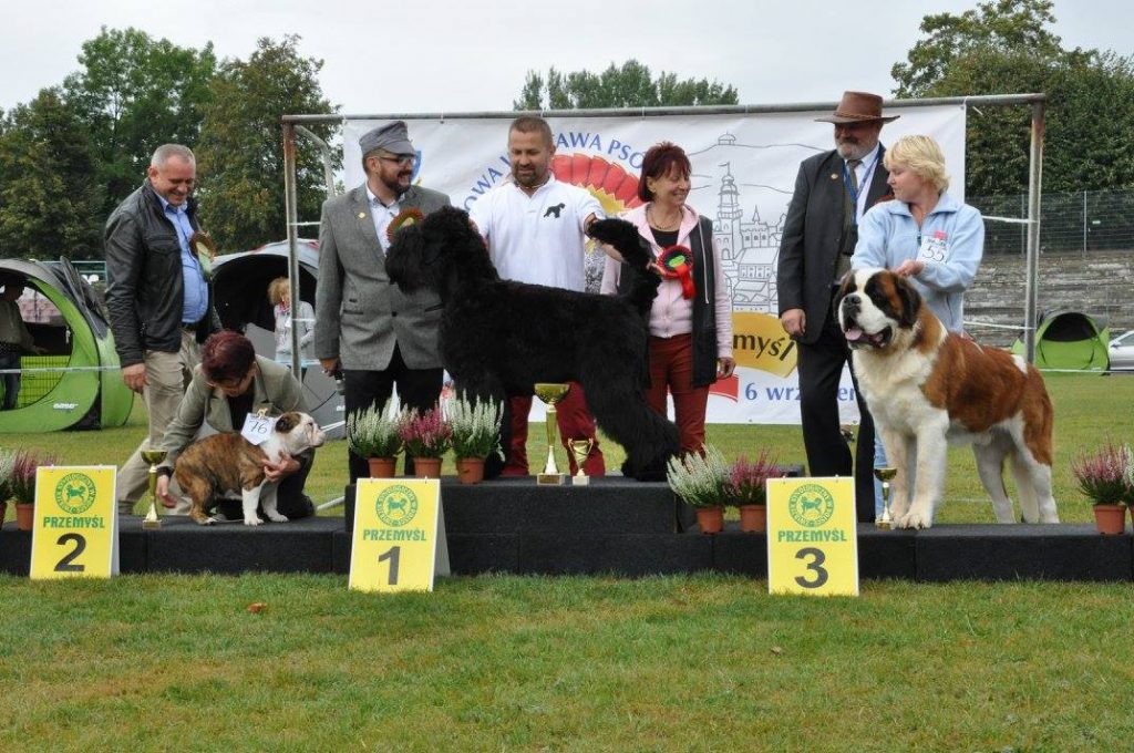 Wystawa krajowa Przemyśl 2015